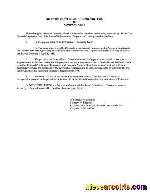 USA Delaware certificate of incorporation